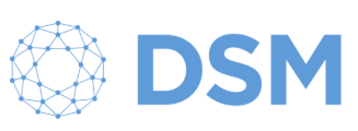 Donsö Shipping Meet (DSM) Logo